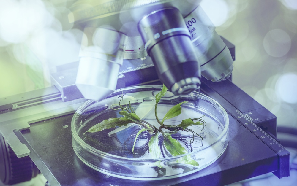 ciências biologicas