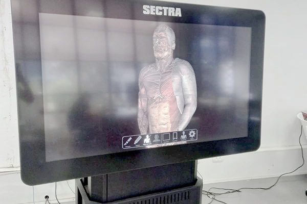 Mesa Sectra