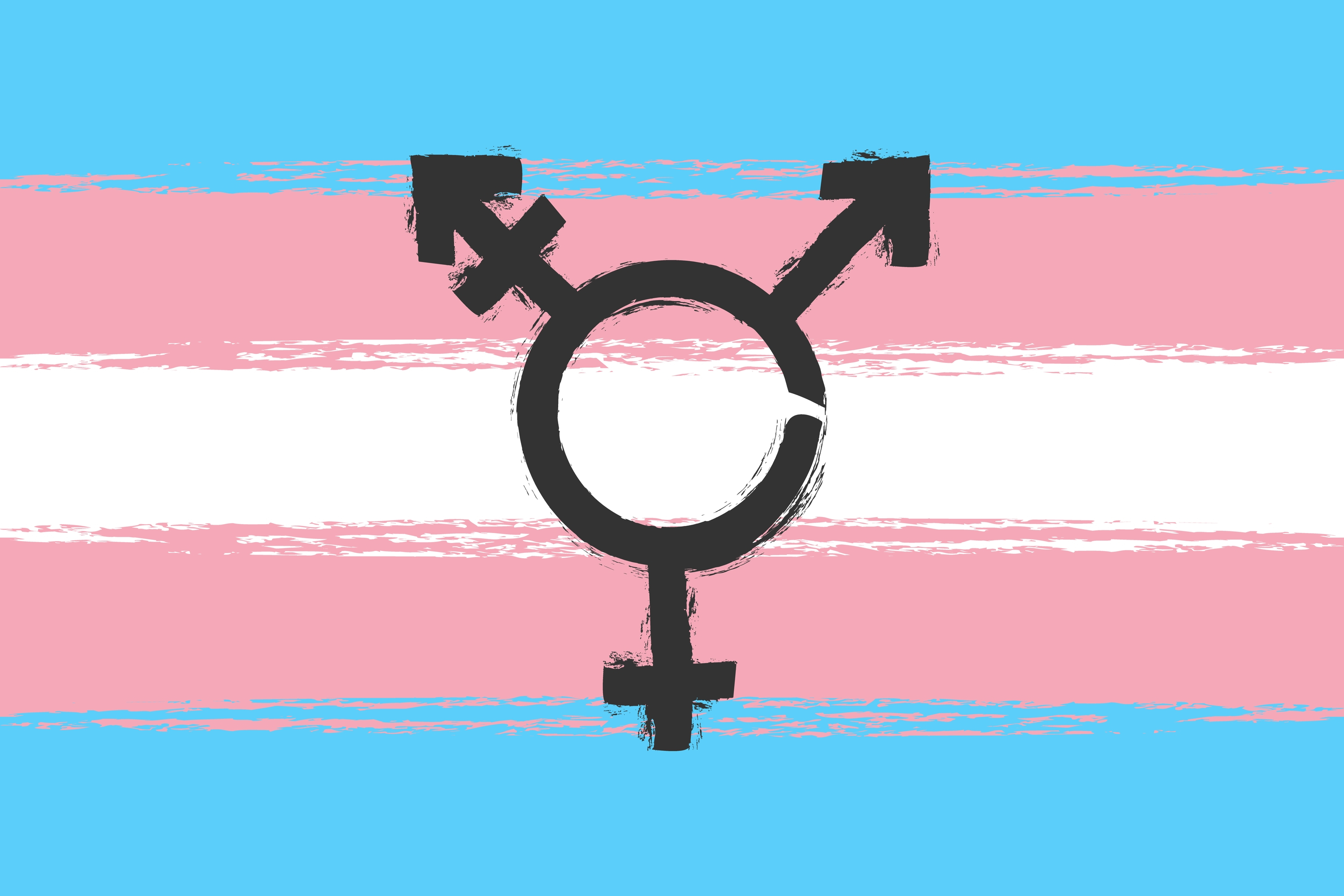 Dia Internacional da Visibilidade Trans: Por mais representatividade e redes de apoio.